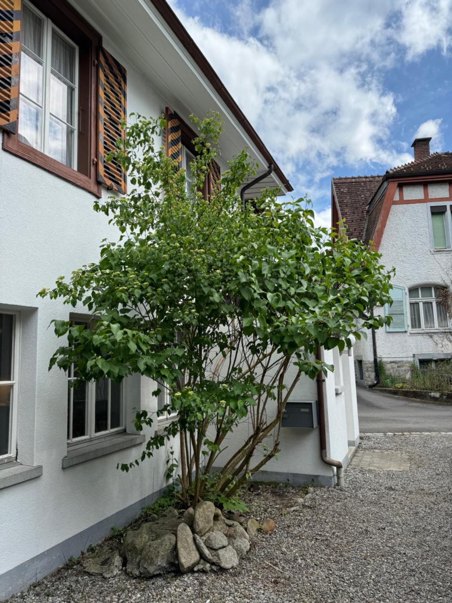 Villa Garden House Interlaken Exterior foto